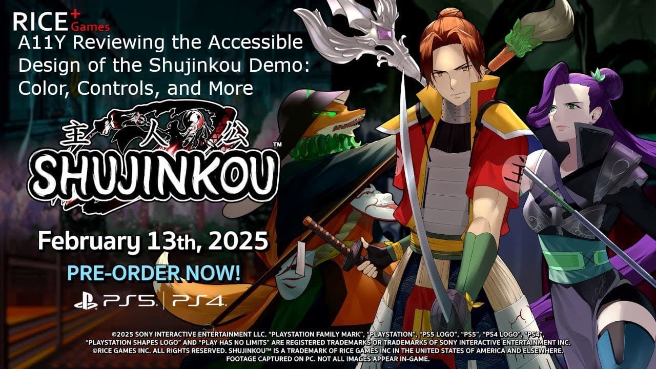 Shujinkou Demo Accessibility Review